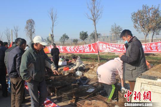 河南滎陽：“救狗僵持戰(zhàn)”持續(xù)四天 300余犬露天哀嚎