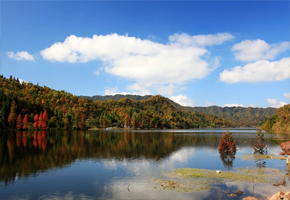 旅游,景區(qū),文化,設(shè)施,石柱