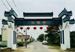 仙橋村,大棚,設(shè)計(jì),生態(tài),活動(dòng)