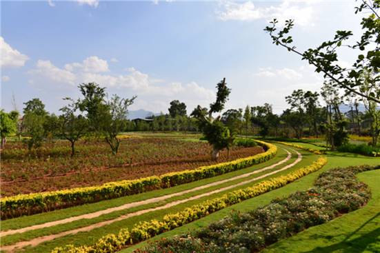 玉溪莊園之云花園